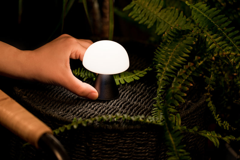 Mina LED Lamp - Mini