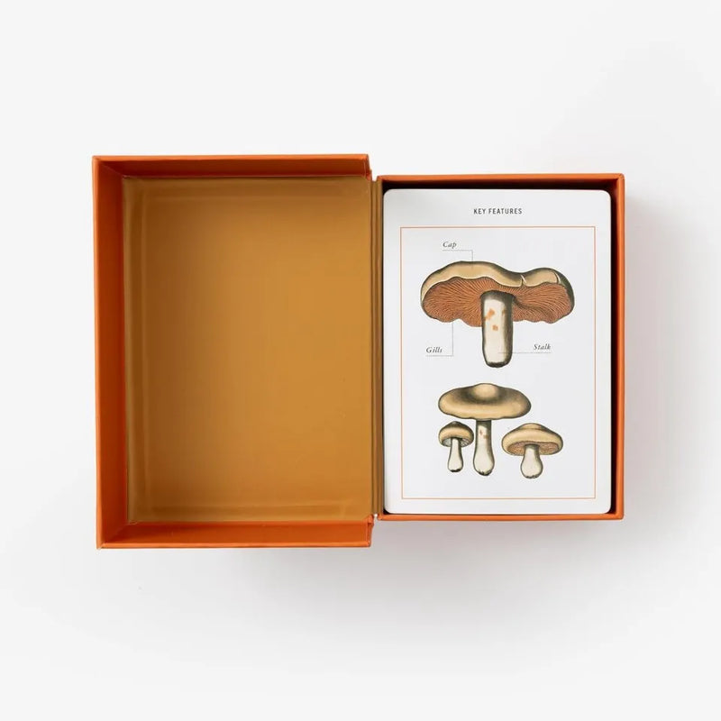 New York Botanical Garden Mushroom Identification Flashcards: 100 Common Mushrooms of North America