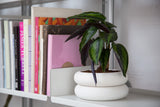 Stacking Planter - Multiple Sizes