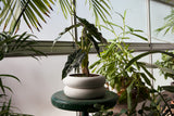 Stacking Planter - Multiple Sizes