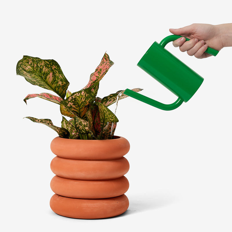 Tango Short Watering Can