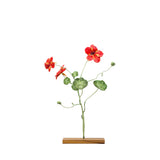 Garden Nasturtium Object Art