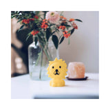 Bundle of Light, Small | Lion