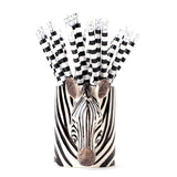 Zebra Pencil Pot