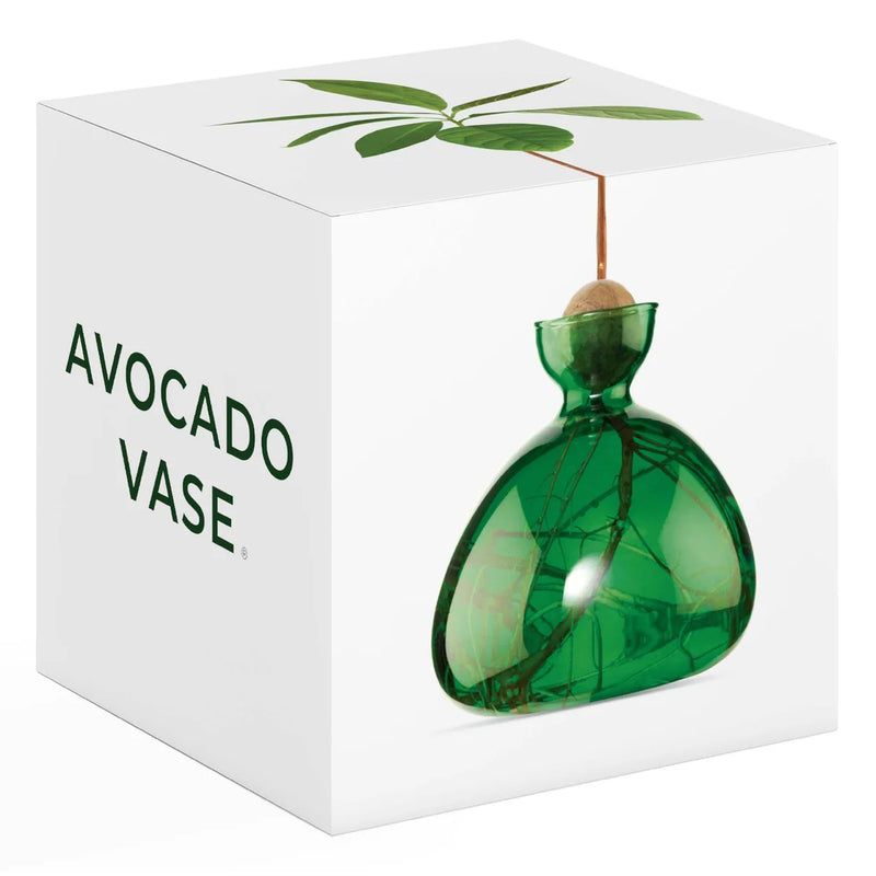 Avocado Vase - Emerald Green