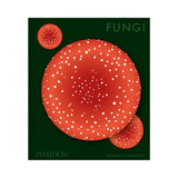 Fungi: The World of Mushrooms