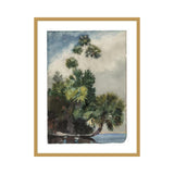 Framed Print | Winslow Homer "Palm Trees, Florida"