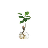 Acorn Vase - Clear