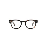 Reading Glasses #C Tortoise
