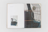 Betye Saar: Cage: A New Series of Assemblages & Collages