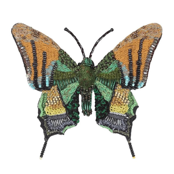 Emperor of India Butterfly Brooch