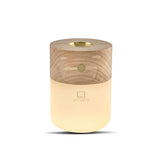 Smart Diffuser Lamp